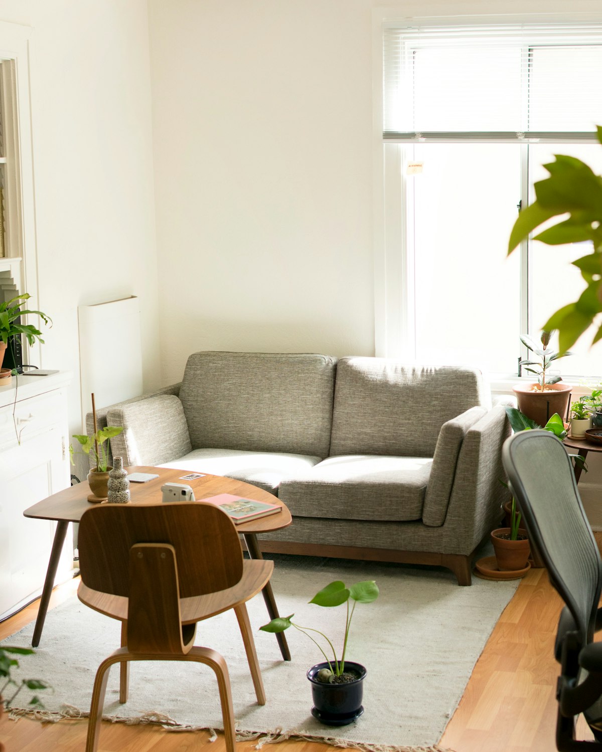 A calm, sunlit corner of one of our homes with plants and soft furnishings